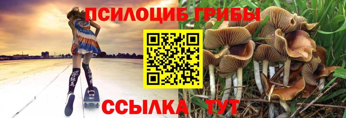 Кумертау  Галлюциногенные грибы мицелий  Вход с VPN 